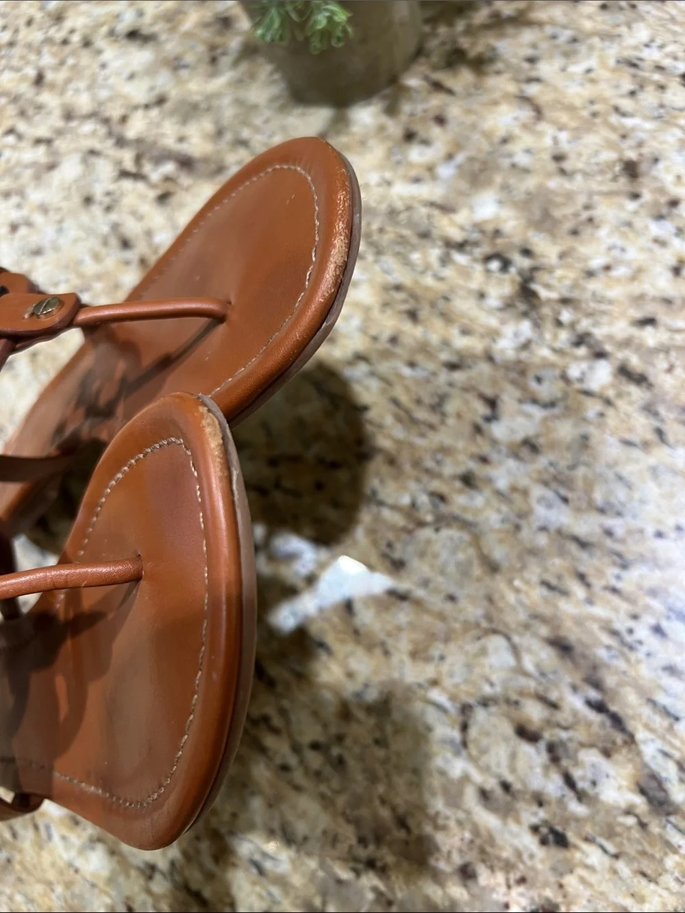 TORY BURCH Miller Brown Leather Thong Sandal 10M
